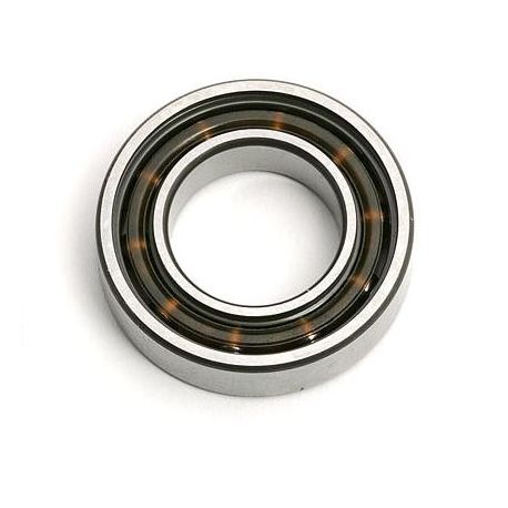 TE016A1 Rear Bearing