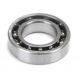 TE016A1 Rear Bearing