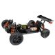 DHK Wolf Brushed RC Buggy EP 4WD RTR