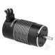 Razer 1/8 EBrushless Motor 4274 2200kV