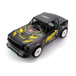 Udi Panther 1/16th 4WD Brushless ESP