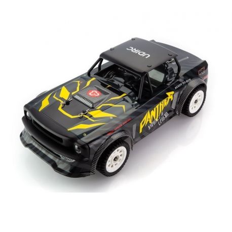 Udi Panther 1/16th 4WD Brushless ESP