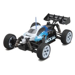 Ripmax Jackal 1/18th Buggy EP