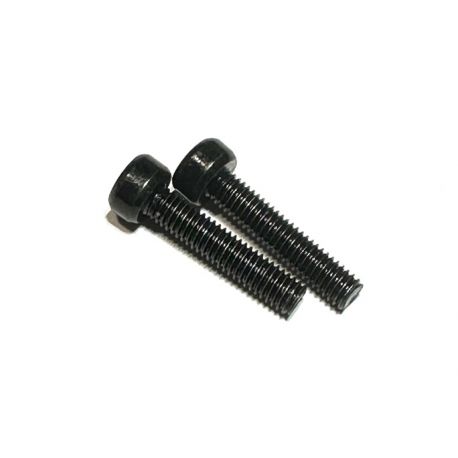 M3x14mm Hex Screws 2pcs